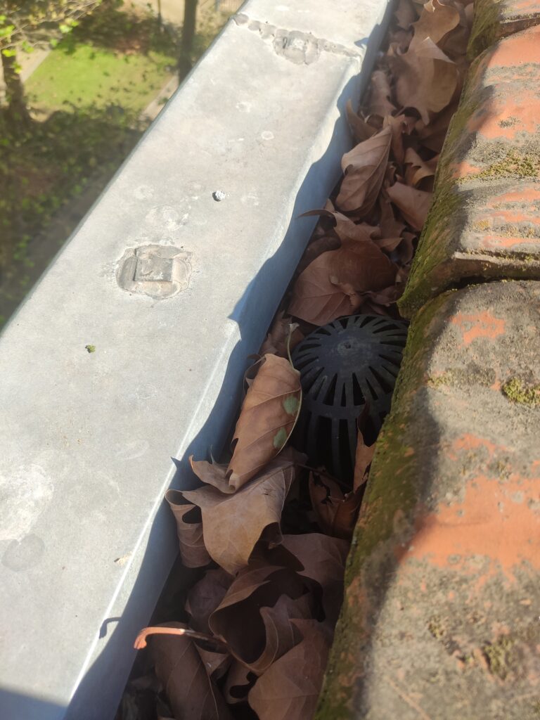 img 20250915 120122