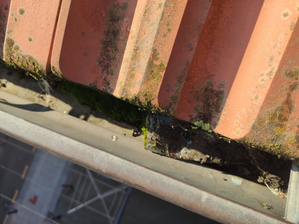 img 20251016 110315